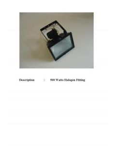 Floodlight 500W